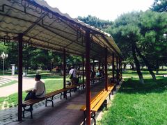 iphone_upload_pic-东北大学(南湖校区)