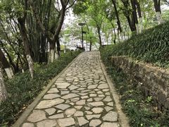 -重庆彩云湖湿地公园