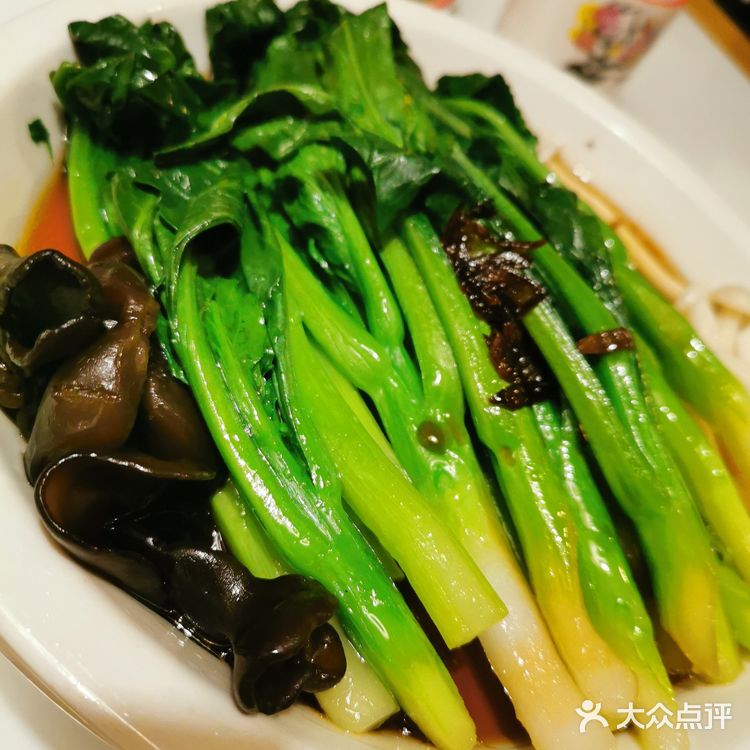 念念不忘——新白鹿