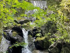 -藏龙百瀑风景区