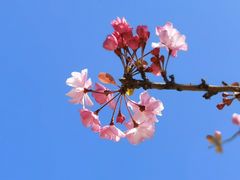 -翠湖公园