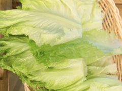 -菌海森林·非遗野生菌火锅(西山区滇池路摩根道店)