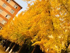 -辽宁大学(崇山校区)