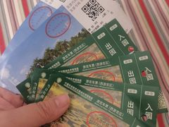 -中国科学院西双版纳热带植物园