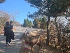 -大连森林动物园