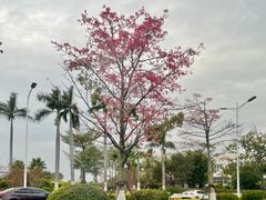 -厦门高崎国际机场-T3航站楼