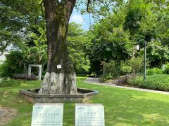 -大旗头古村
