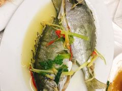 -老三鱼仔店