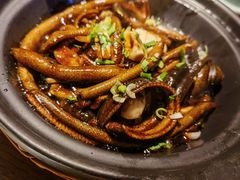 淮扬炒软兜-扬州狮子楼·非遗淮扬菜(东关街店)