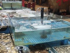 -和源祥·日照菜扛把子(万平口一店)