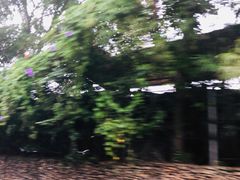 -海南槟榔谷黎苗文化旅游区