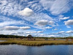 -塞罕坝国家级自然保护区