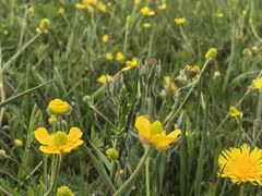 -蒙亨·手把肉·蒙古包文化主题餐厅(天恒广场店)