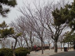 -星海公园(番禺区)