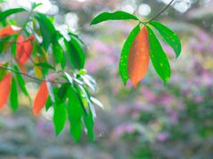 -重庆平顶山公园