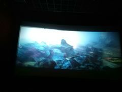 -横店电影城(IMAX联盛快乐城店)