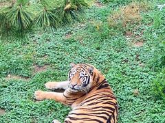 -西霞口神雕山野生动物世界