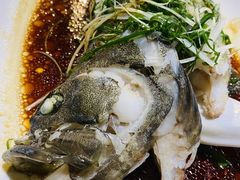 -大东海海鲜酒楼(渔人码头总店)