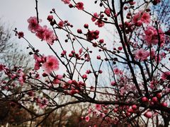 -白塘生态植物园
