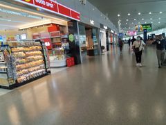 -合肥新桥国际机场-航站楼