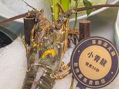 -喜聚薈·花膠雞海鮮火鍋(越秀店)