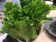 -蘑统田下·野生菌火锅