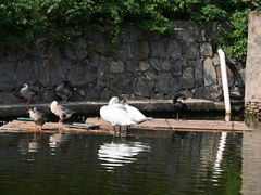 -合肥野生动物园
