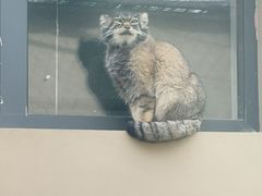 -青藏高原野生动物园