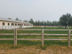 -北京群众马术培训基地