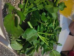 -香蜜轩·粤菜·宴会(世界之窗店)