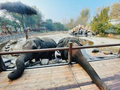 -北京野生动物园