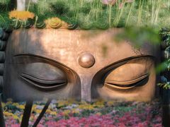 -杭州植物园