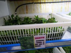 -黔府豆米火锅野菜馆(南马店)