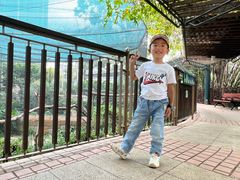 -九龙公园
