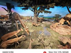 -国家自然博物馆