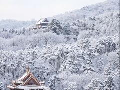 -灵谷景区