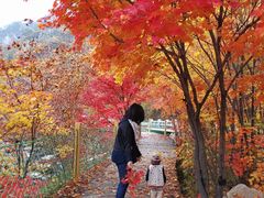 -丹东天桥沟景区