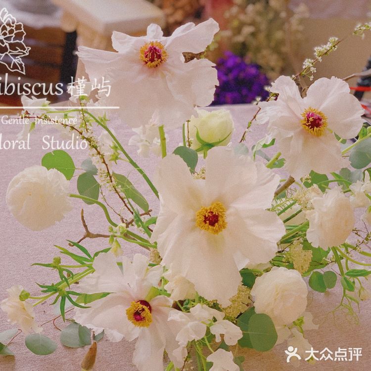 单瓣牡丹开花啦～