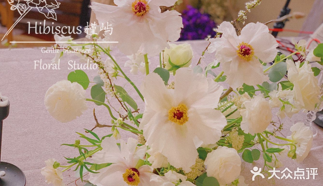 单瓣牡丹开花啦～