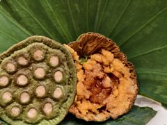 -叶叶菩提(太原别墅店)