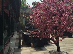 -厉家菜(金宝街店)