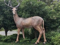 -溱湖国家湿地公园