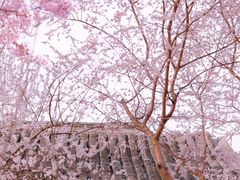 -三里河公园