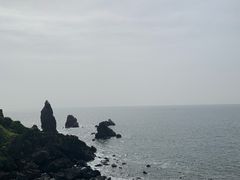 -涉地可支