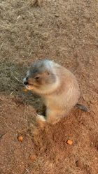 -Zoolung Zoolung动物主题公园(海信广场店)