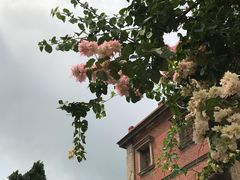 -苏小糖(鼓浪屿三丘田花园店)