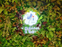 -禧瑞 ·丝浴主题·水疗·spa(中山公园店)