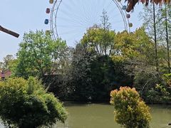 -上海野生动物园