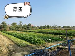 -新塘水果乐园(东洲大道店)