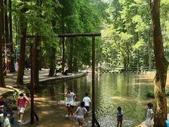 -波尔登森林公园
